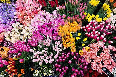 传言称Skydance的漫威剧情向新作将是《超胆侠》